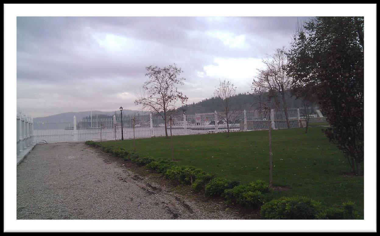 Beykoz Pavilion Landscape Works