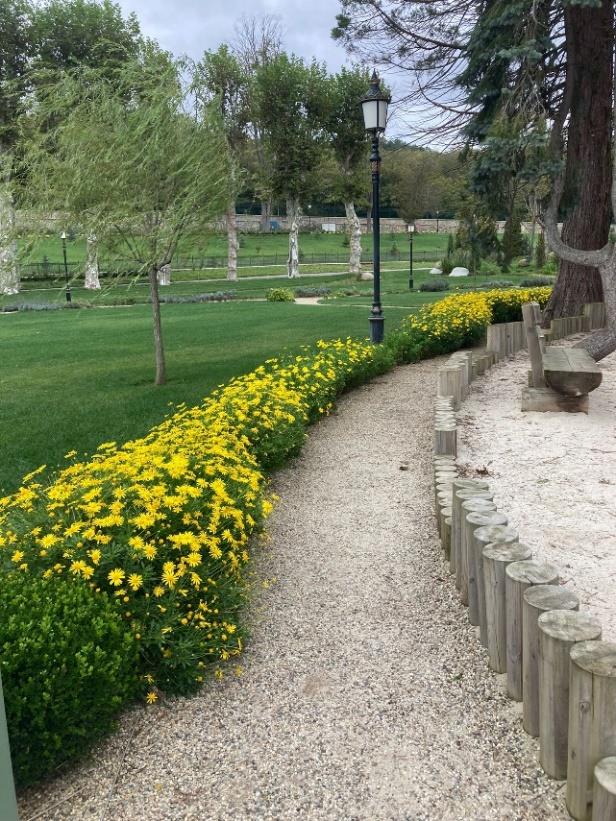 National Palaces Garden Maintenance and Repair Works