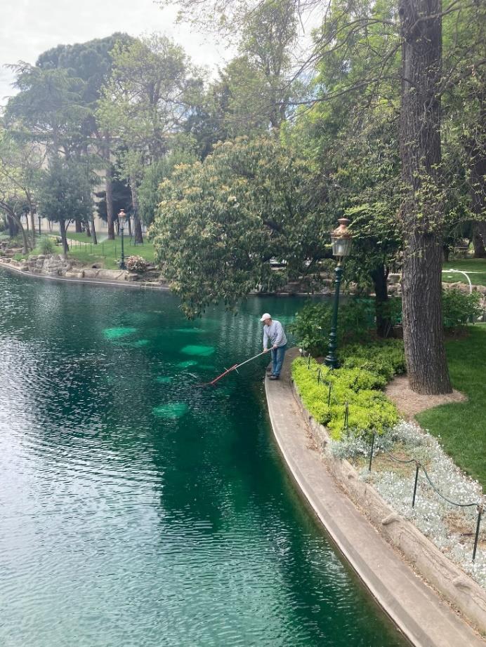 National Palaces Garden Maintenance and Repair Works